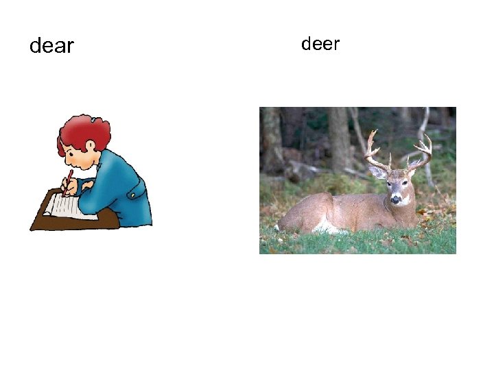 dear deer 