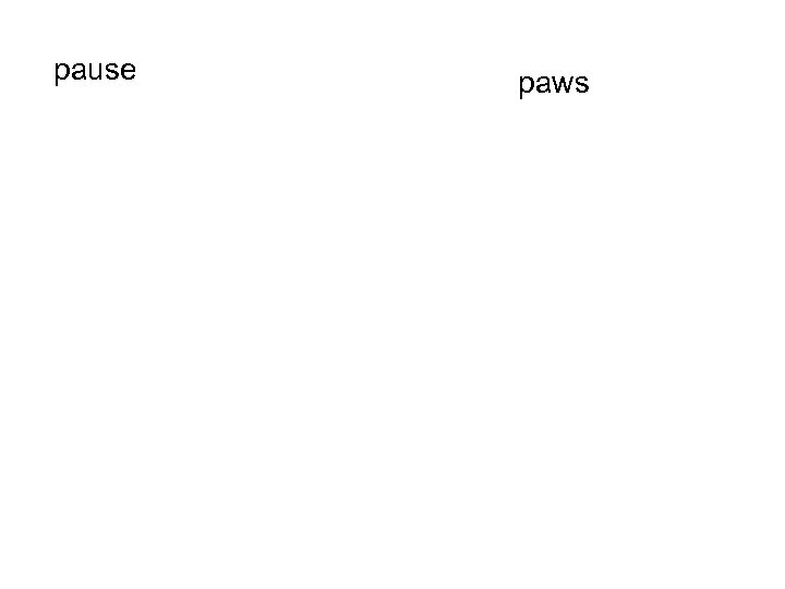 pause paws 