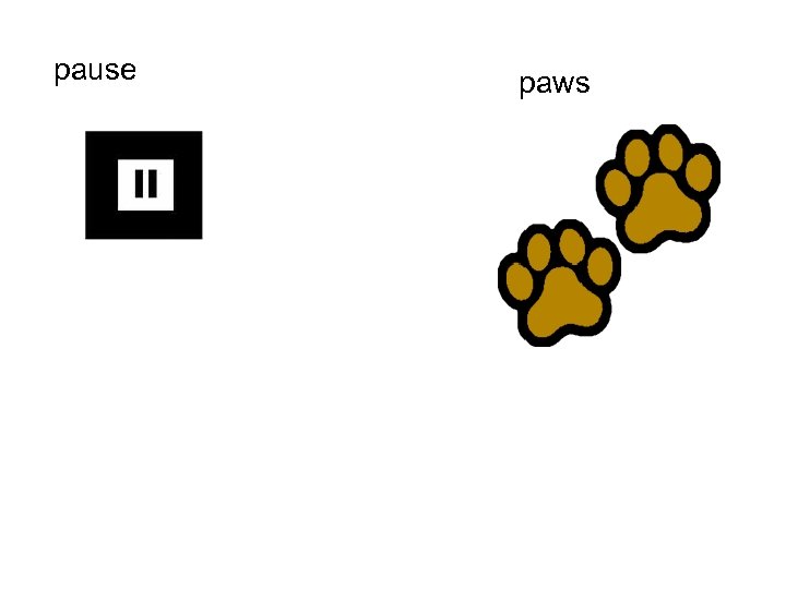 pause paws 