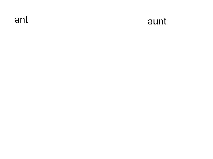 ant aunt 