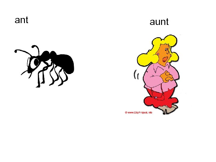 ant aunt 