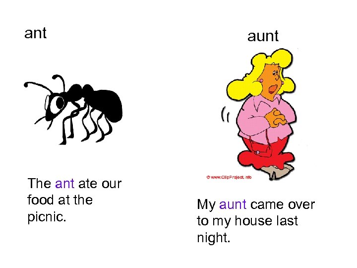 ant The ant ate our food at the picnic. aunt My aunt came over