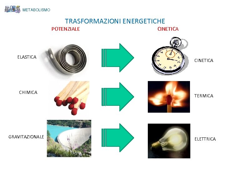 METABOLISMO TRASFORMAZIONI ENERGETICHE POTENZIALE ELASTICA CHIMICA GRAVITAZIONALE CINETICA TERMICA ELETTRICA 