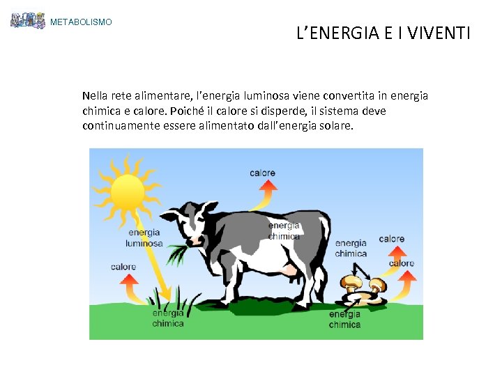 METABOLISMO L’ENERGIA E I VIVENTI Nella rete alimentare, l’energia luminosa viene convertita in energia