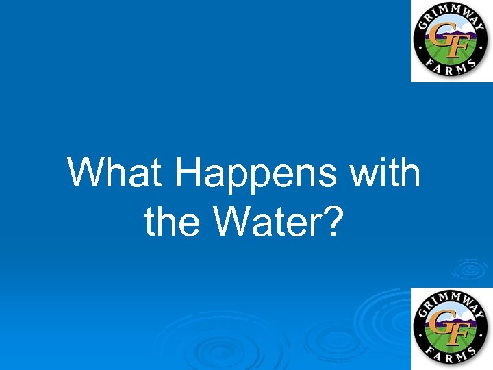 What Happens with the Water? 
