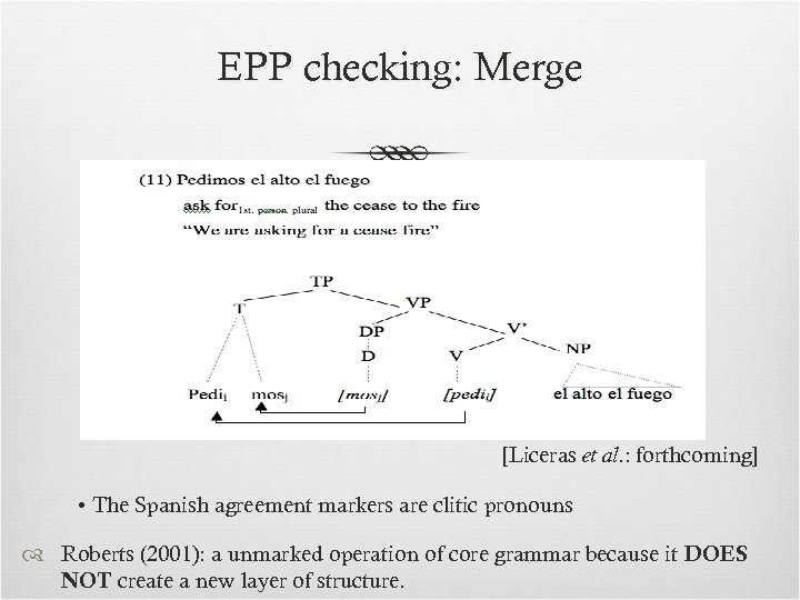 EPP checking: Merge [Liceras et al. : forthcoming] • The Spanish agreement markers are