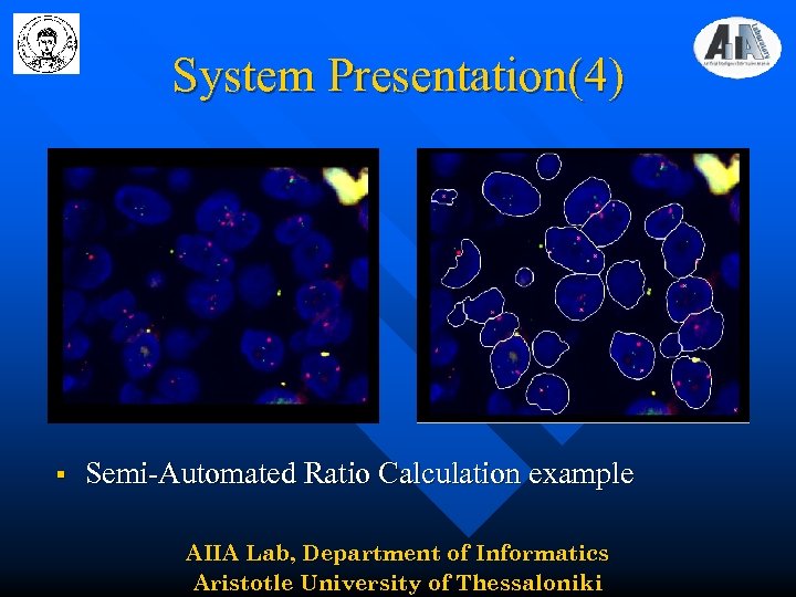 System Presentation(4) § Semi-Automated Ratio Calculation example AIIA Lab, Department of Informatics Aristotle University