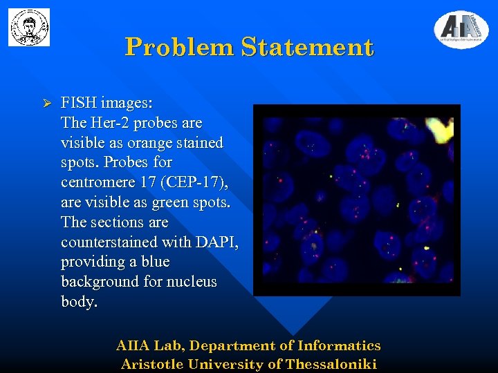 Problem Statement Ø FISH images: The Her-2 probes are visible as orange stained spots.