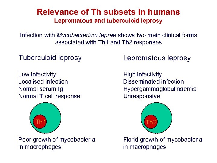 Relevance of Th subsets in humans Lepromatous and tuberculoid leprosy Infection with Mycobacterium leprae