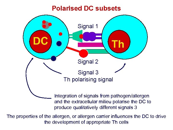 Polarised DC subsets Signal 1 DC Th Signal 2 Signal 3 Th polarising signal