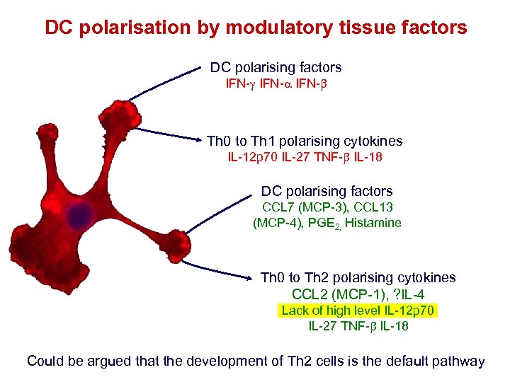 DC polarisation by modulatory tissue factors DC polarising factors IFN-a IFN- Th 0 to