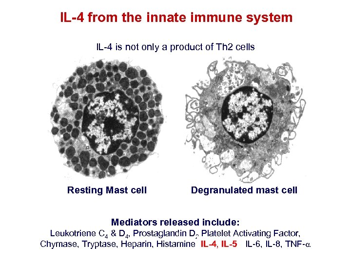 IL-4 from the innate immune system IL-4 is not only a product of Th