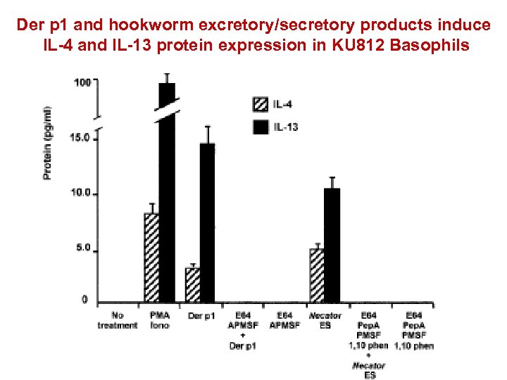 Der p 1 and hookworm excretory/secretory products induce IL-4 and IL-13 protein expression in
