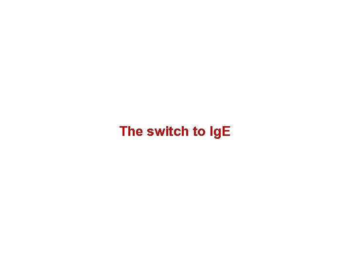 The switch to Ig. E 