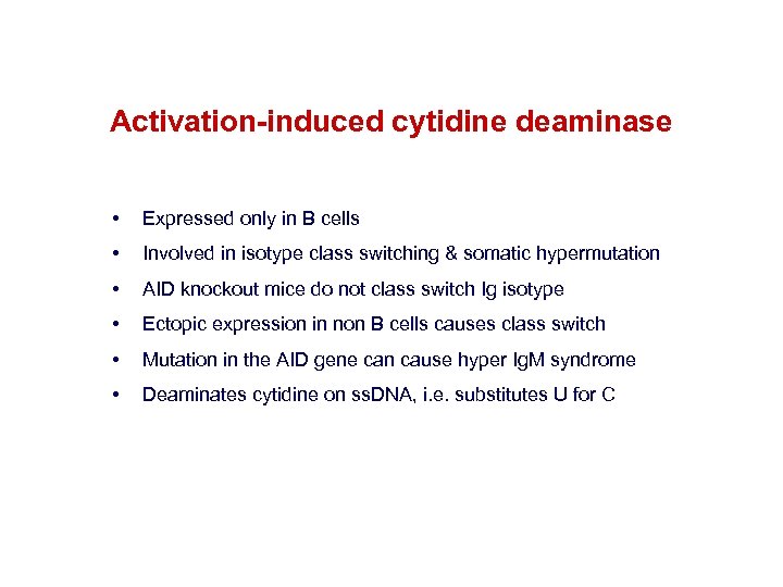 Activation-induced cytidine deaminase • Expressed only in B cells • Involved in isotype class