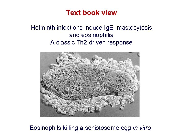 Text book view Helminth infections induce Ig. E, mastocytosis and eosinophilia A classic Th