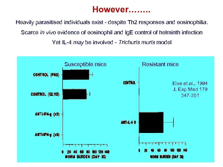 However……. . Heavily parasitised individuals exist - despite Th 2 responses and eosinophilia. Scarce
