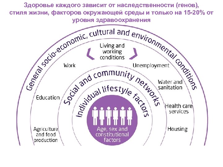 Здоровье каждого. Стили окружения. Здоровье зависит от наследственности. От чего зависит стиль жизни.