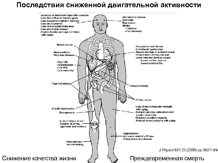 Последствия сниженной двигательной активности J Physiol 587. 23 (2009) pp 5527– 554 Снижение качества
