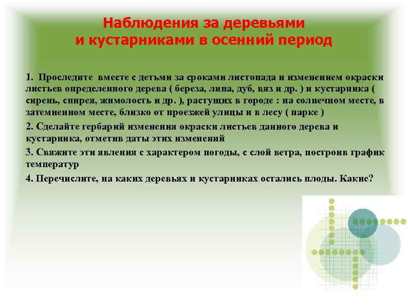 Наблюдения за деревьями и кустарниками в осенний период 1. Проследите вместе с детьми за