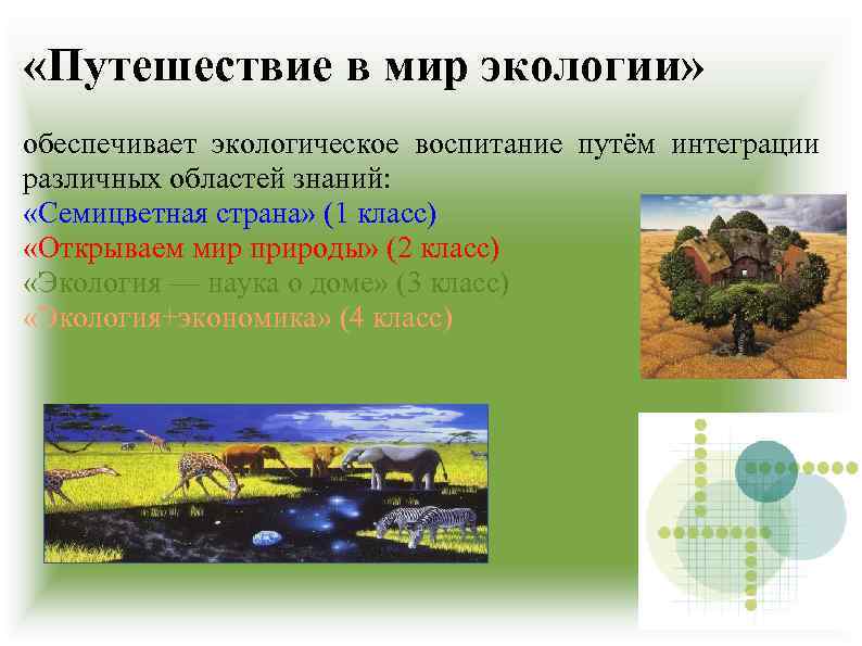  «Путешествие в мир экологии» обеспечивает экологическое воспитание путём интеграции различных областей знаний: «Семицветная