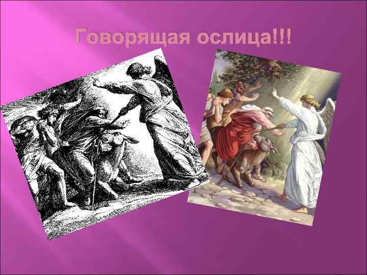 Говорящая ослица!!! 