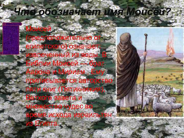 Что обозначает имя Моисей? Моисей (предположительно от египетского) означает: извлеченный из воды. В Библии