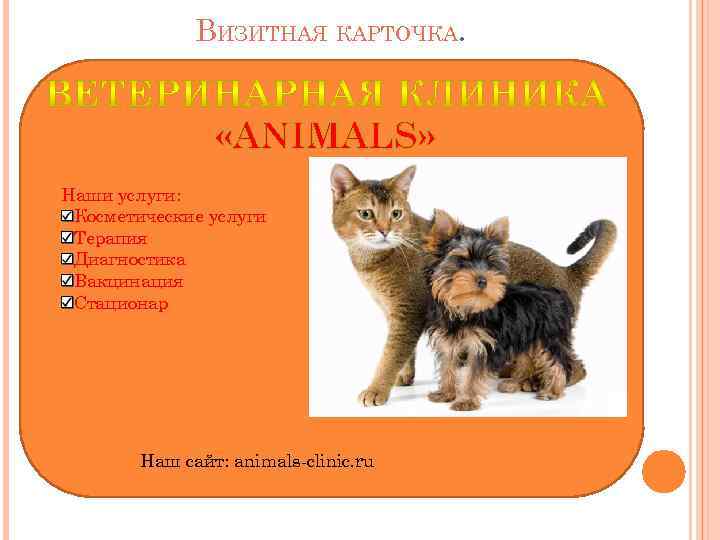 ВИЗИТНАЯ КАРТОЧКА. «ANIMALS» Наши услуги: Косметические услуги Терапия Диагностика Вакцинация Стационар Наш сайт: animals-clinic.