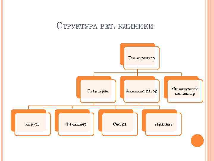 СТРУКТУРА ВЕТ. КЛИНИКИ Ген. директор Глав. врач хирург Фельдшер Администратор Сестра терапевт Финансовый менеджер