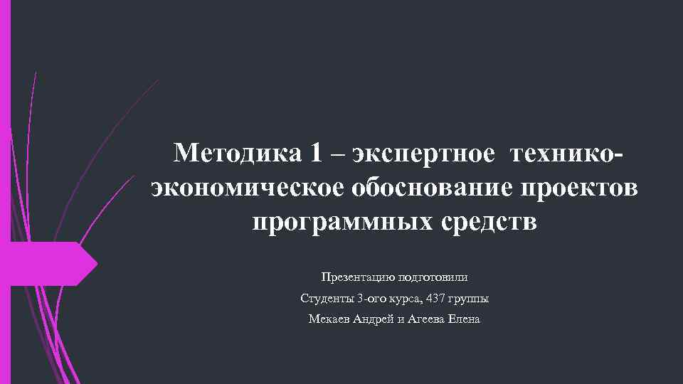 Методика 1 – экспертное техникоэкономическое обоснование проектов программных средств Презентацию подготовили Студенты 3 -ого