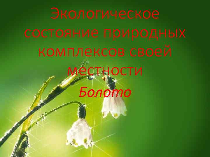 Экологическое состояние природных комплексов своей местности Болото 