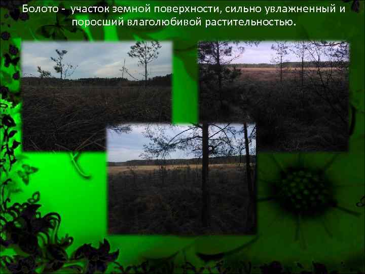 Болото - участок земной поверхности, сильно увлажненный и поросший влаголюбивой растительностью. 