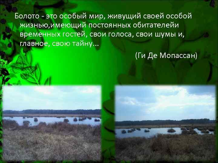 Болото - это особый мир, живущий своей особой жизнью, имеющий постоянных обитателейи временных гостей,