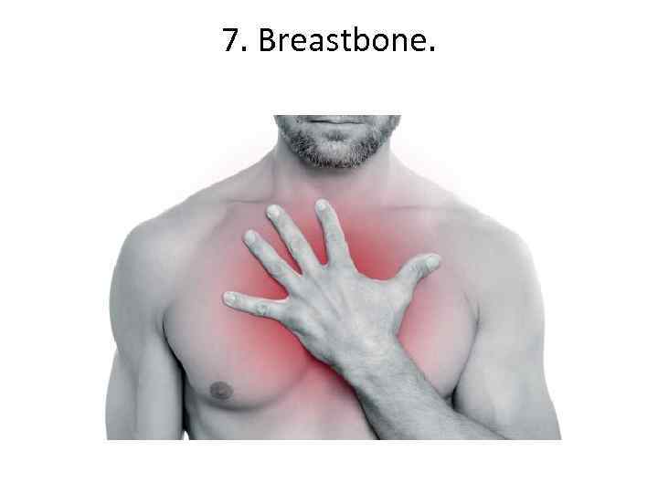 7. Breastbone. 