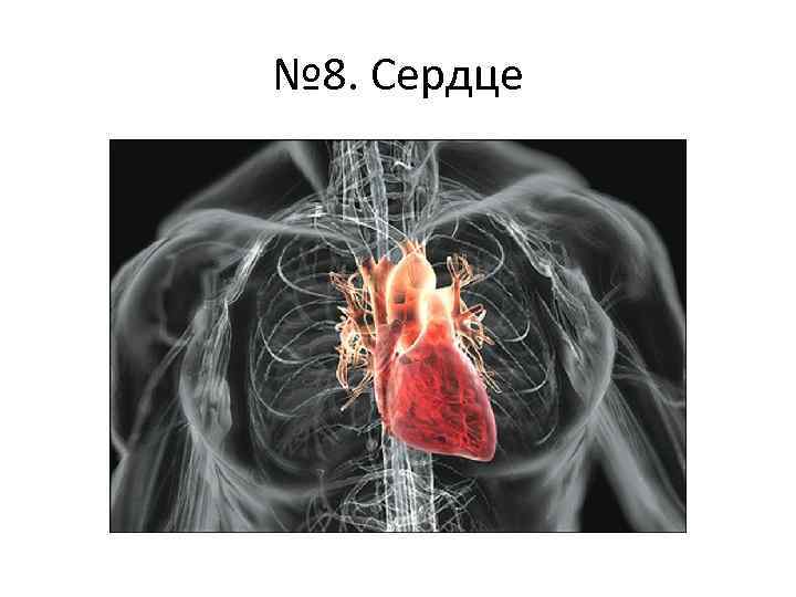 № 8. Сердце 