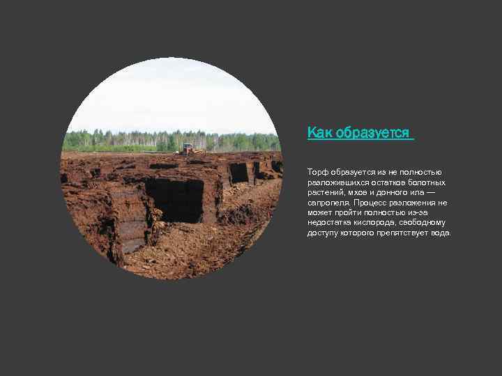 Как образуется Торф образуется из не полностью разложившихся остатков болотных растений, мхов и донного