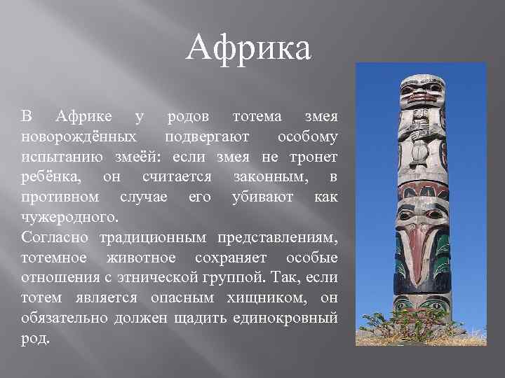 Африка В Африке у родов тотема змея новорождённых подвергают особому испытанию змеёй: если змея