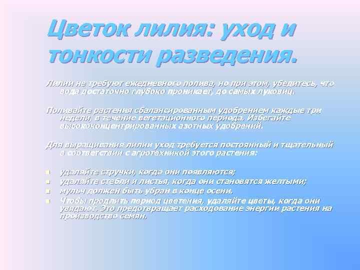 Цветок лилия: уход и тонкости разведения. Лилии не требуют ежедневного полива, но при этом,