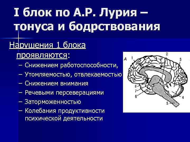 I блок по А. Р. Лурия – тонуса и бодрствования Нарушения 1 блока проявляются: