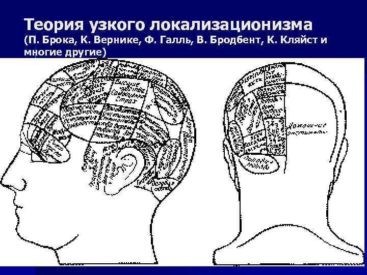 Теория узкого локализационизма (П. Брока, К. Вернике, Ф. Галль, В. Бродбент, К. Кляйст и