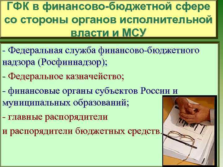 ГФК в финансово-бюджетной сфере со стороны органов исполнительной власти и МСУ - Федеральная служба