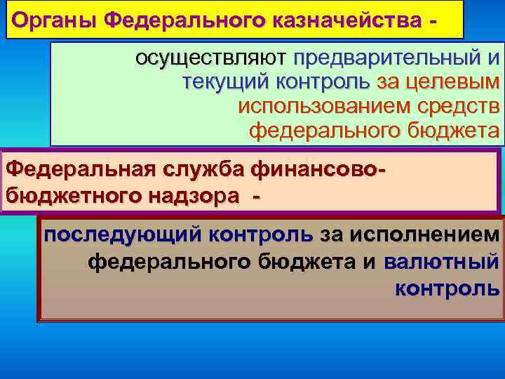 Органы Федерального казначейства осуществляют предварительный и текущий контроль за целевым использованием средств федерального бюджета