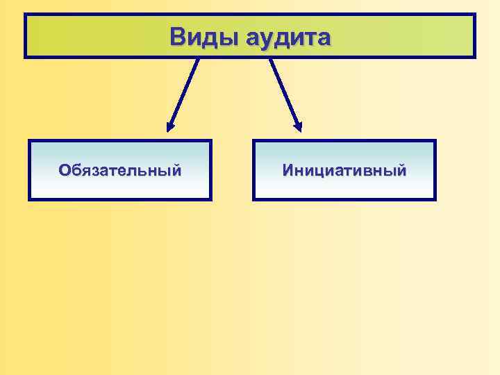Виды аудита Обязательный Инициативный 