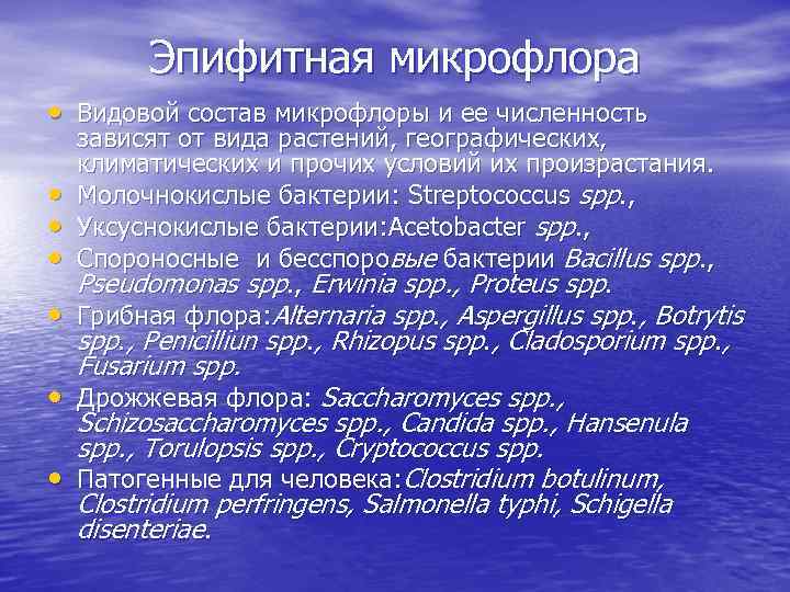 Эпифитная микрофлора • Видовой состав микрофлоры и ее численность • • зависят от вида