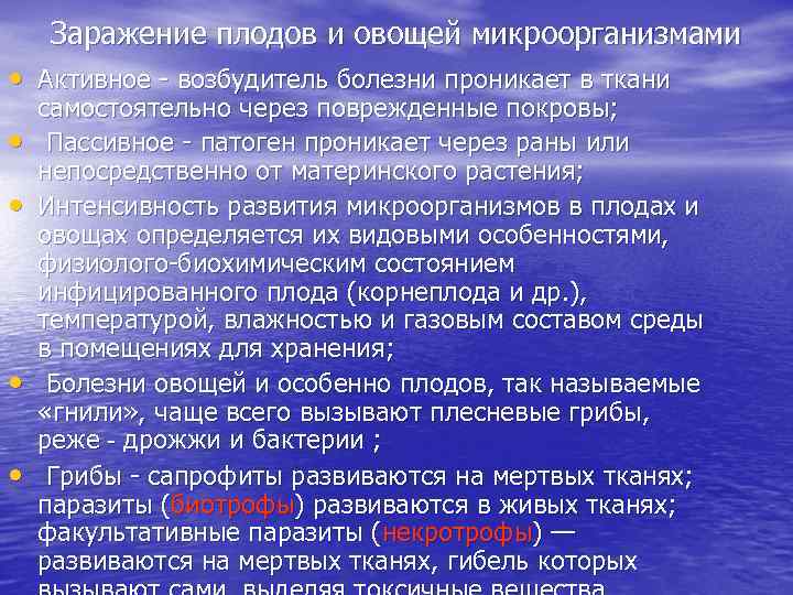 Заражение плодов и овощей микроорганизмами • Активное возбудитель болезни проникает в ткани • •