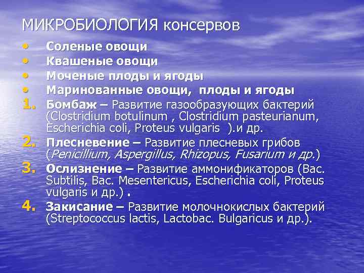 МИКРОБИОЛОГИЯ консервов • • 1. 2. 3. 4. Соленые овощи Квашеные овощи Моченые плоды