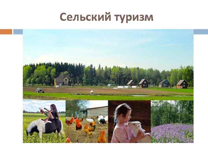 Сельский туризм 