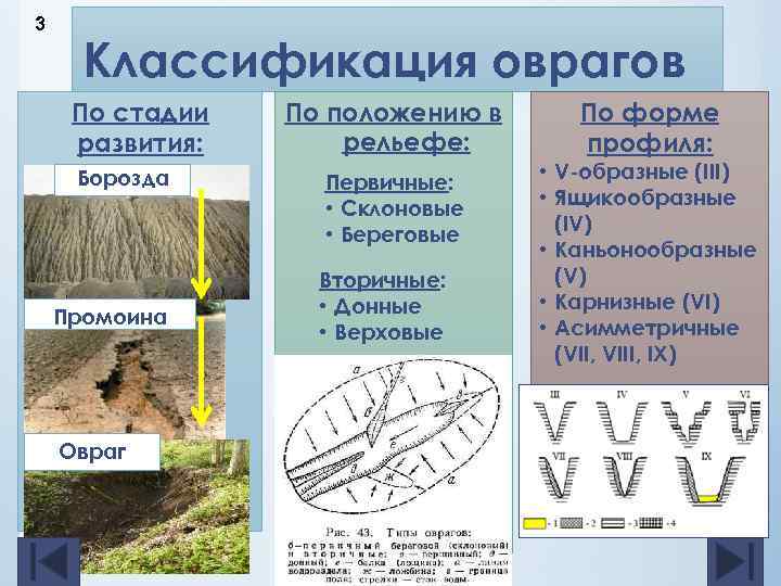 3 Классификация оврагов По стадии развития: Борозда Промоина Овраг По положению в рельефе: Первичные: