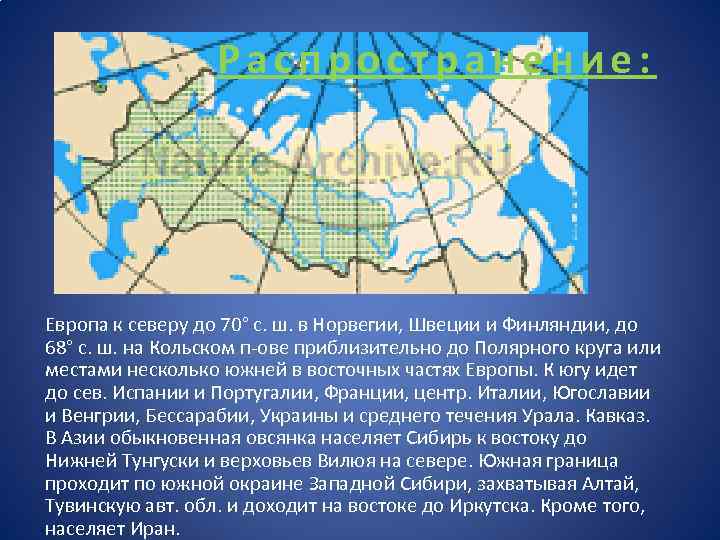 Распространение: Европа к северу до 70° с. ш. в Норвегии, Швеции и Финляндии, до