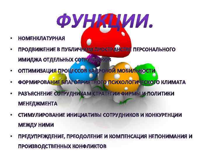  • НОМЕНКЛАТУРНАЯ • ПРОДВИЖЕНИЕ В ПУБЛИЧНОМ ПРОСТРАНСТВЕ ПЕРСОНАЛЬНОГО ИМИДЖА ОТДЕЛЬНЫХ СОТРУДНИКОВ • ОПТИМИЗАЦИЯ